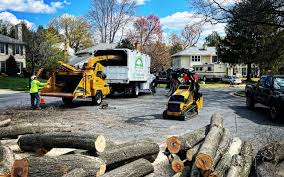 Best Utility Line Clearance  in Bushyhead, OK